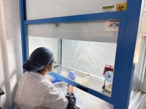 Diagnopein lab
