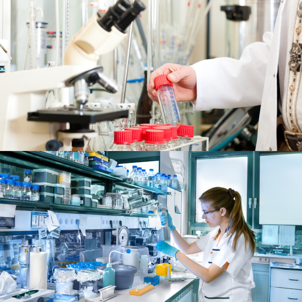 Paramedical vs Traditional Medical Courses