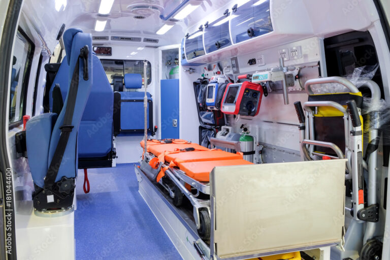 Paramedics in Modern Healthcare Systems