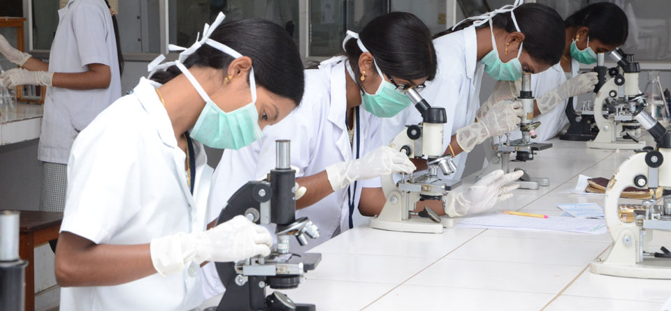 Why Practical Training is More Important Than Books in Paramedical